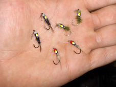 Micro Nymphen