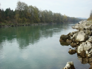 Salzach