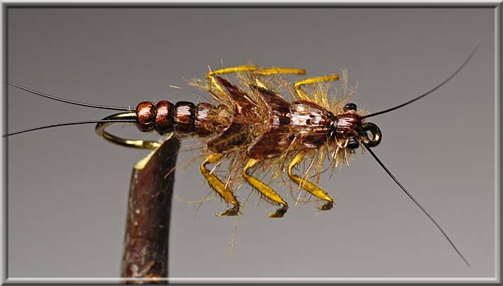 Nymphe