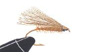 Schlitter-Sedge "Fast Food"