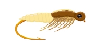 K&ouml;cherfliege "Super Pupa"