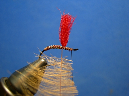 Bild 7