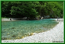 Radika