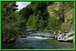 Radika