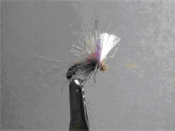 CDC lila Wing Dun