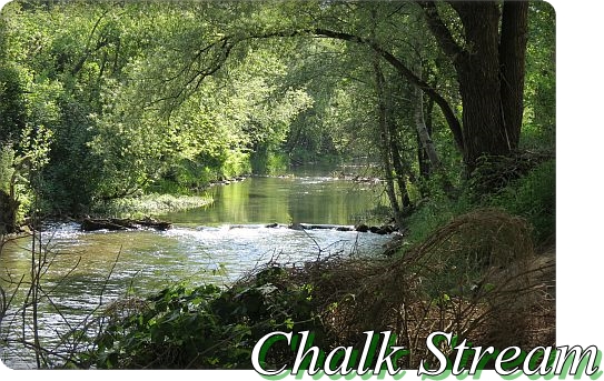 Chalk Stream