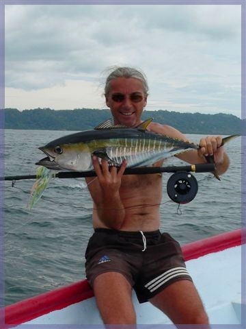 Uwe / Yellow Fin