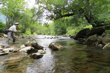 Donnersbach