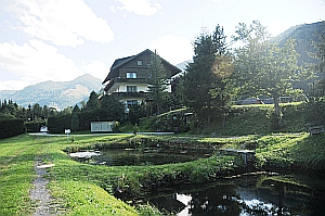 Gasthof Zur Gams