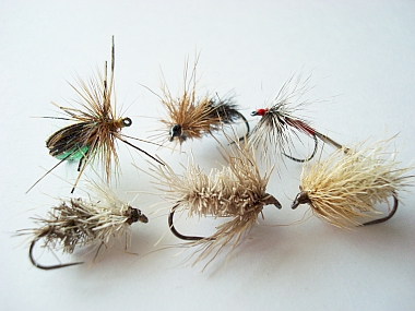 Fliegen