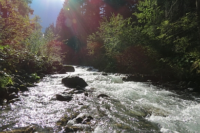 Faggenbach
