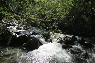 Faggenbach