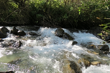 Faggenbach
