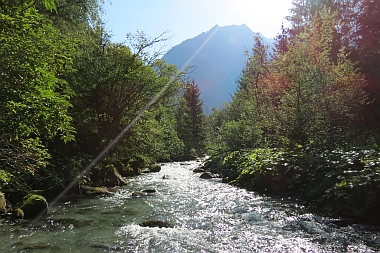 Faggenbach