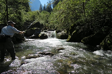 Faggenbach