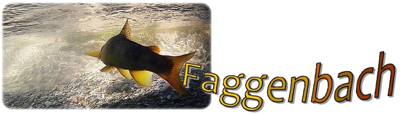 Faggenbach