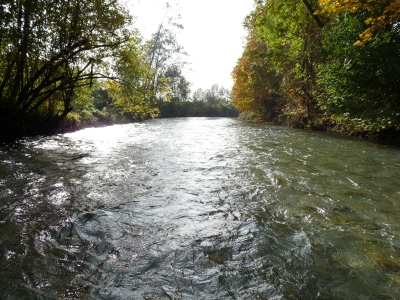 bei Bruck