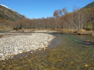 K�fertal