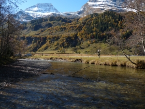 K�fertal