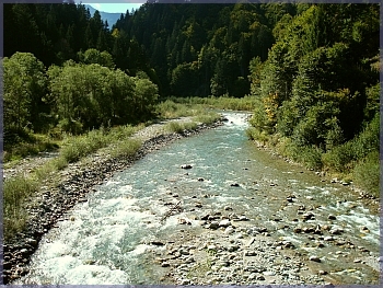 Gail im Lesachtal flussaufw�rts