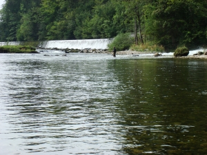 Kohlwehr 
