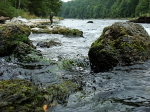 Kohlwehr 