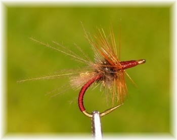 Red Grayling Attractor