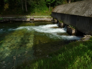 Seeklause