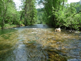 W&ouml;rnsm&uuml;hl