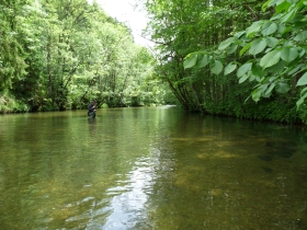 bei Leitzach