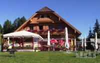 Sauschneideralm