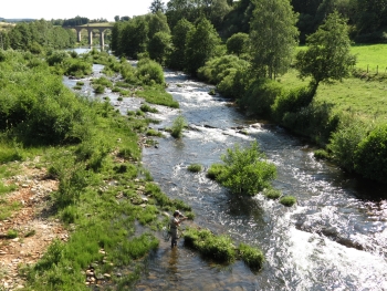 Allier