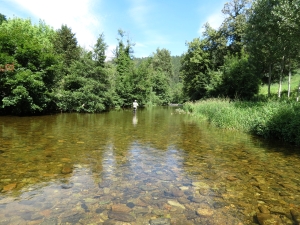 Colagne