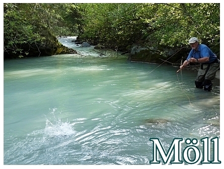 Möll