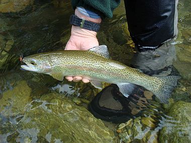 Möll / Möllbrücke