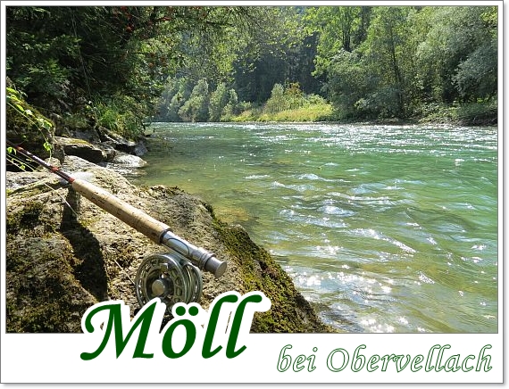 Möll