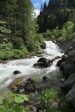 Pongauer Taurach