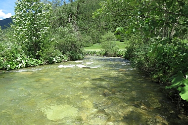 Pongauer Taurach