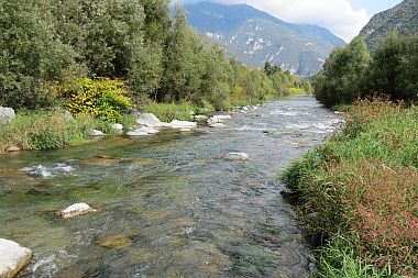 Sarca Alto