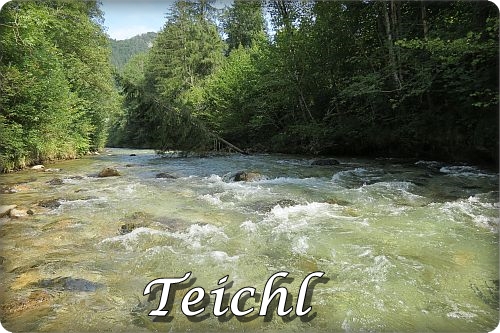 Teichl