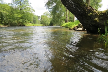 Große Mühl