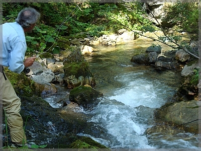 nach dem Johannesfall