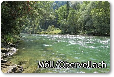Möll/Obervellach